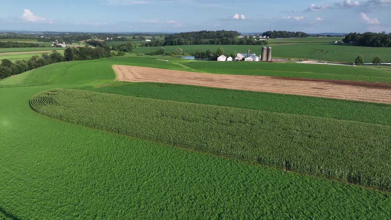 Maize, soybean, wheat and Cropland with American farmstead in background. Aerial wide shot. Forest landscape with green trees in summer