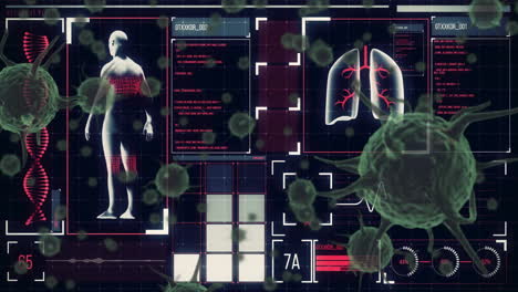 Diagrama-De-Animación-De-Células-Virales-Y-Datos-Médicos-Sobre-El-Cuerpo-Humano-Y-Los-Pulmones