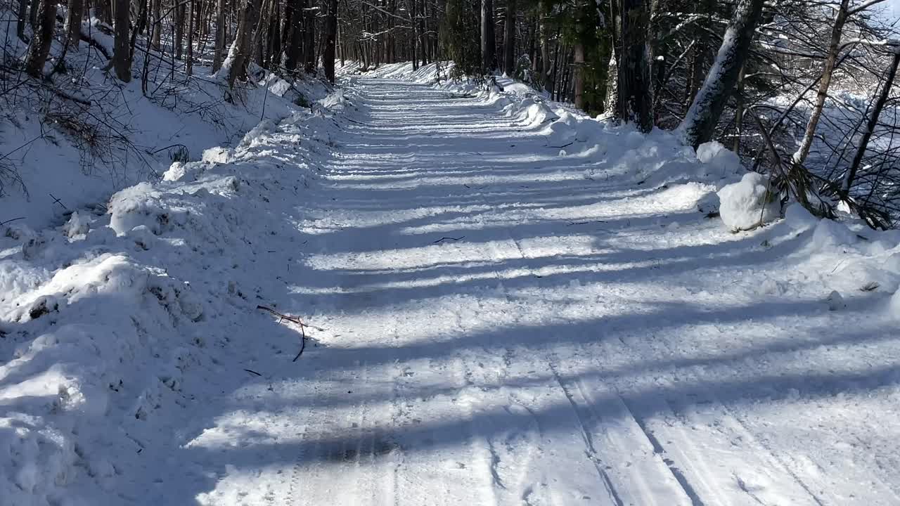 Snowy forest trail in winter sunlight, fresh white snow, long tree shadows, peaceful nature, outdoor adventure, quiet path, scenic seasonal landscape, tranquil woodland