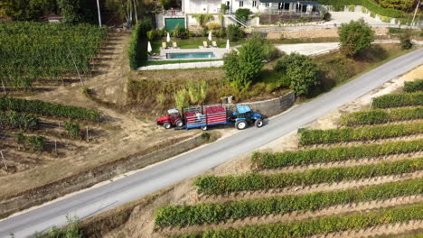 agricultor cosechando viña con maquinaria de tractor