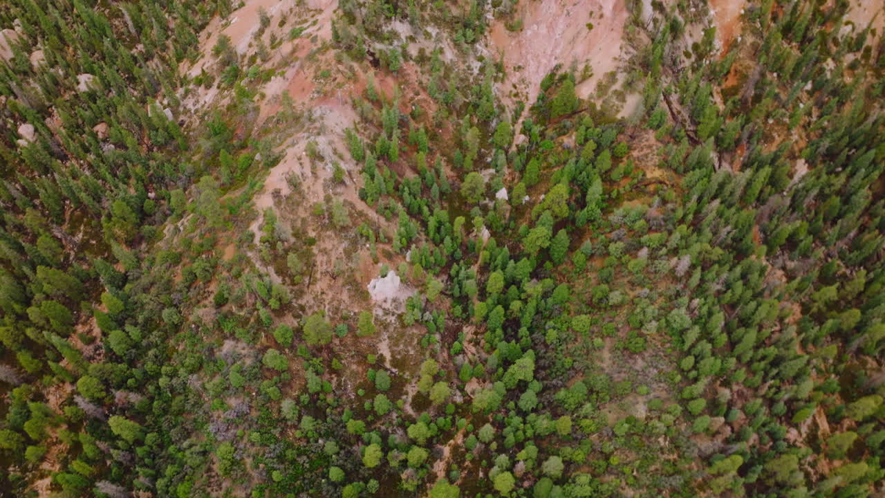 Rocky scenery of Bryce National Park covered with green pine trees, little bushes and moss. Drone footage at daytime. Top view.