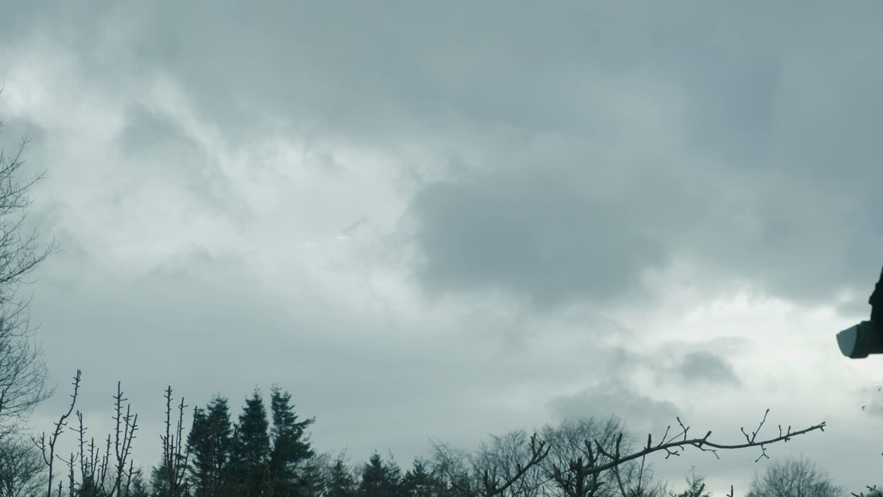 Wide shot shows a cloudy grey sky with blue-green tones as birds fly across. The scene exudes a cold, quiet feeling, with the muted colors adding to the somber, atmospheric mood.