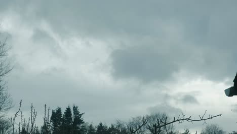 wide shot shows a cloudy grey sky with blue-green tones as birds fly across. the scene exudes a cold, quiet feeling, with the muted colors adding to the somber, atmospheric mood.