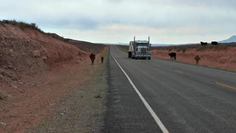 Kühe-Laufen-Und-Grasen-Abseits-Der-Asphaltierten-Straße-Mit-Vorbeifahrenden-Lastwagen-In-Utah