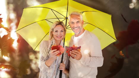 senior couple with autumn leaves standing with yellow umbrella in autumn forest 4k