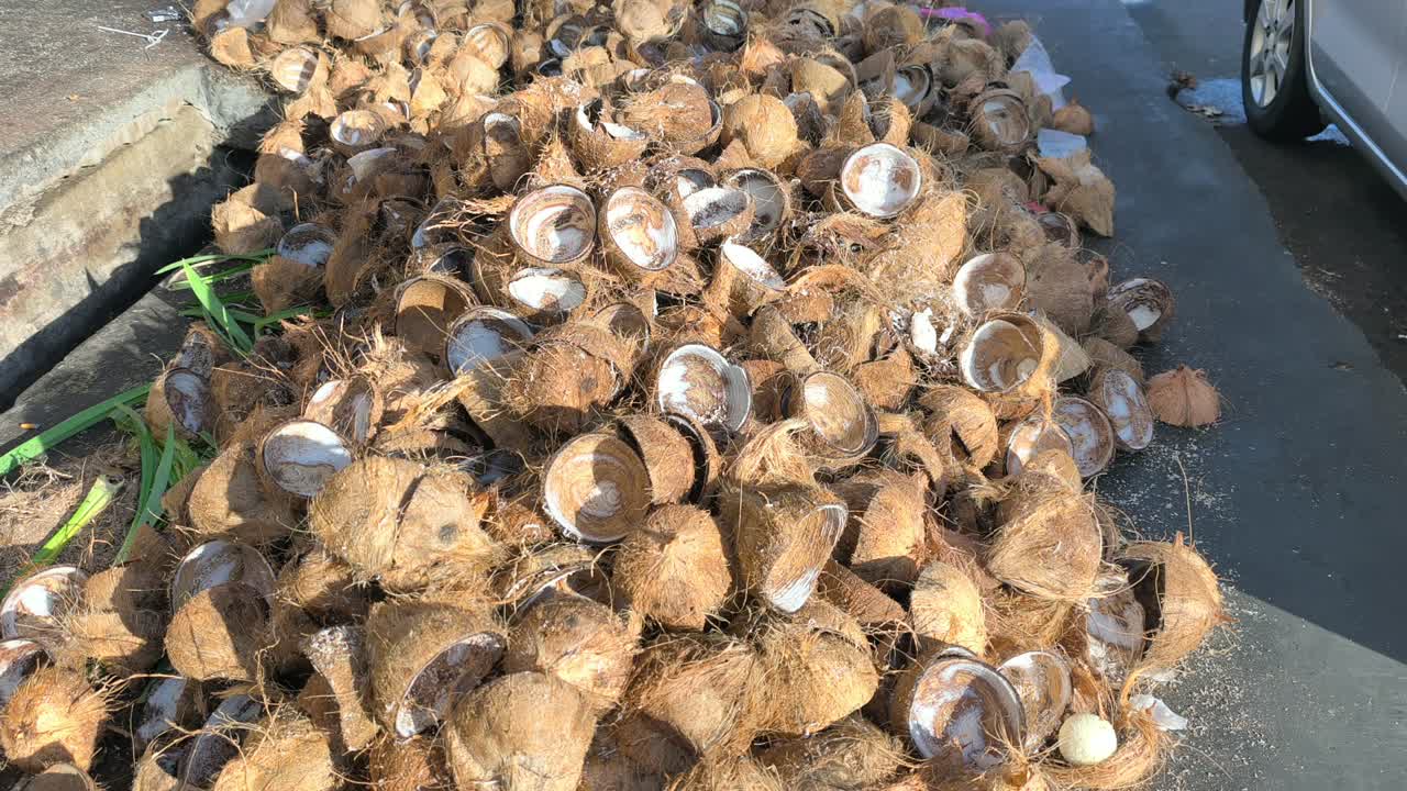 Una gran pila de cáscaras de coco desechadas se encuentra en un punto de recolección. Estos restos se recogen después de la extracción de la leche. Están listos para ser transportados a una fábrica para su reciclaje