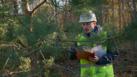 tree surgeon specialist assessing and documenting health of branches