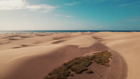 aerial over scenic maspalomas coastal dunes of gran canaria, las palmas