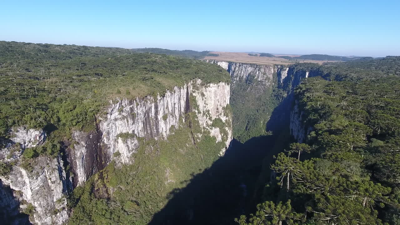 Aerial View of a Deep Canyon with Lush Green Forest