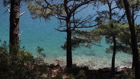 Mljet-Pines-4K-02