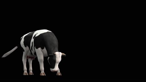 Una-Vaca-Parada-Sobre-Fondo-Negro-Con-Canal-Alfa-Incluido-Al-Final-Del-Vídeo,-Animación-3d,-Vista-En-Perspectiva,-Animales-Animados,-Animación-En-Bucle-Sin-Interrupciones