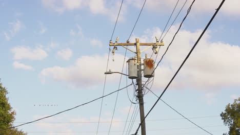 Power-poll-with-power-lines-and-transformers,-with-birds-on-the-power-lines