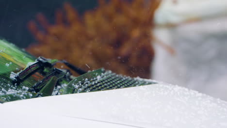 hail falls onto car hood, windshield