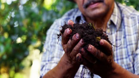 Hombre-Mayor-Cavando-En-El-Suelo-Para-Cavar-Plantas