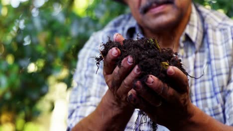 hombre mayor cavando en el suelo para cavar la planta