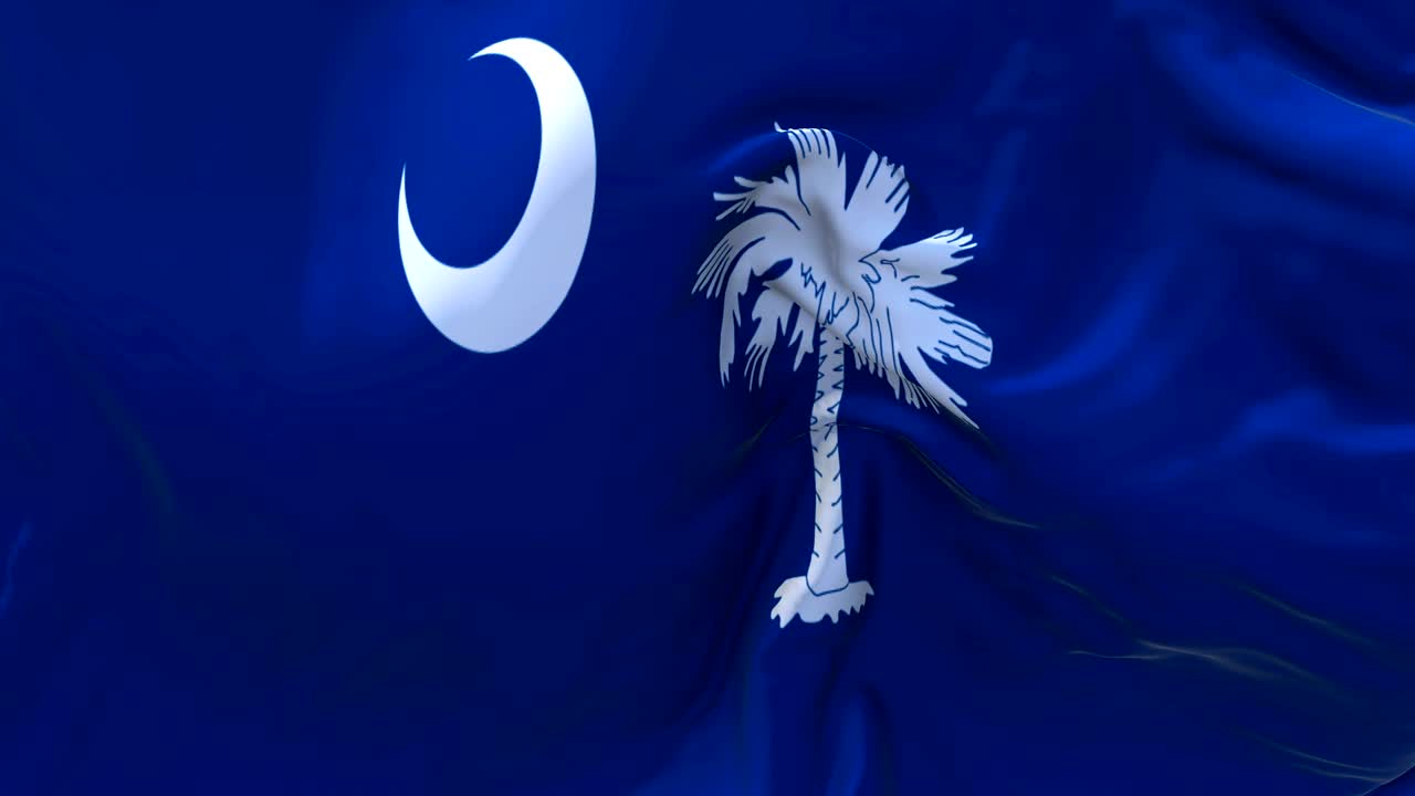 la bandera de carolina del sur ondeando en el viento animación en cámara lenta. 4k textura de tela realista bandera soplando suavemente en un día de viento fondo de bucle continuo sin costuras.