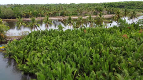 vista aérea del río balingasay, bolinao, pangasinan, filipinas