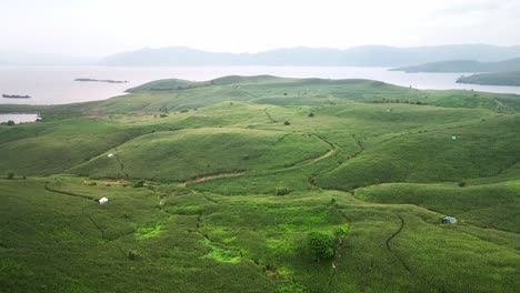 Hermoso-Paisaje-Agrícola-Con-Campos-De-Plantación-De-Maíz-En-Crecimiento-Con-Fondo-Oceánico-En-La-Isla-De-Sumbawa,-Indonesia