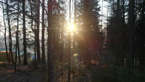 Antena-De-Drones-Ascendiendo-Sobre-Un-Bosque-De-Pinos-El-Paisaje-Montañoso-De-Semmerling,-Austria