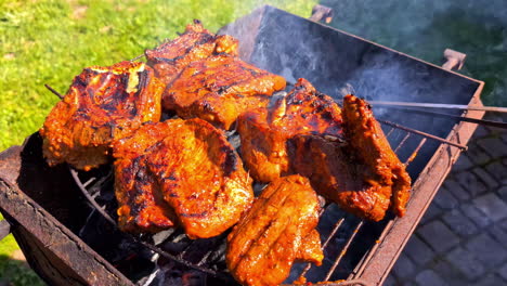 Grilling-juicy-marinated-meat-on-an-outdoor-barbecue-with-smoke-rising-in-a-sunny-backyard