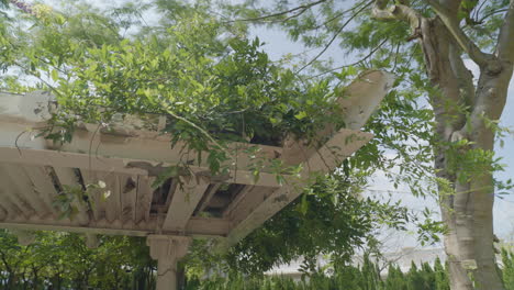 Una-Cámara-Montada-En-Cardán-Se-Desplaza-Suavemente-Alrededor-De-Un-Toldo,-Mostrando-Una-Vibrante-Exhibición-De-Plantas