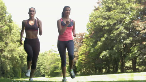 Dos-Niñas-Corriendo-En-Un-Parque