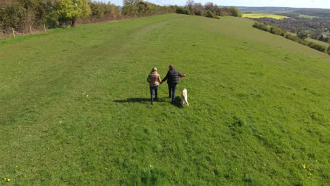 Toma-Aérea-De-La-Pareja-Madura-Y-El-Perro-A-Caminar-En-El-Campo