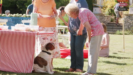 Frauen-Schauen-Sich-Die-Englische-Bulldogge-An,-Die-Beim-Sommergartenfest-Am-Kuchenstand-Sitzt