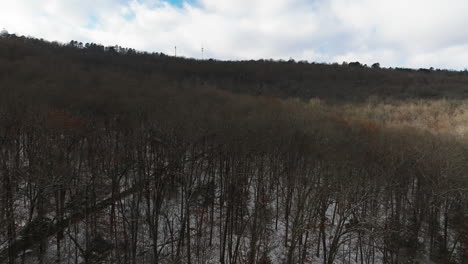 Winter-snow-covered-ground,-leafless-forest,-aerial-flyover-shot,-day,-Arkansas