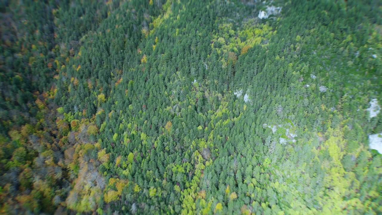 High drone flight over valley between Mount Olympus peaks, camera facing down, showing green, yellow, and golden autumn trees, straight flight path, scenic Greek mountain landscape