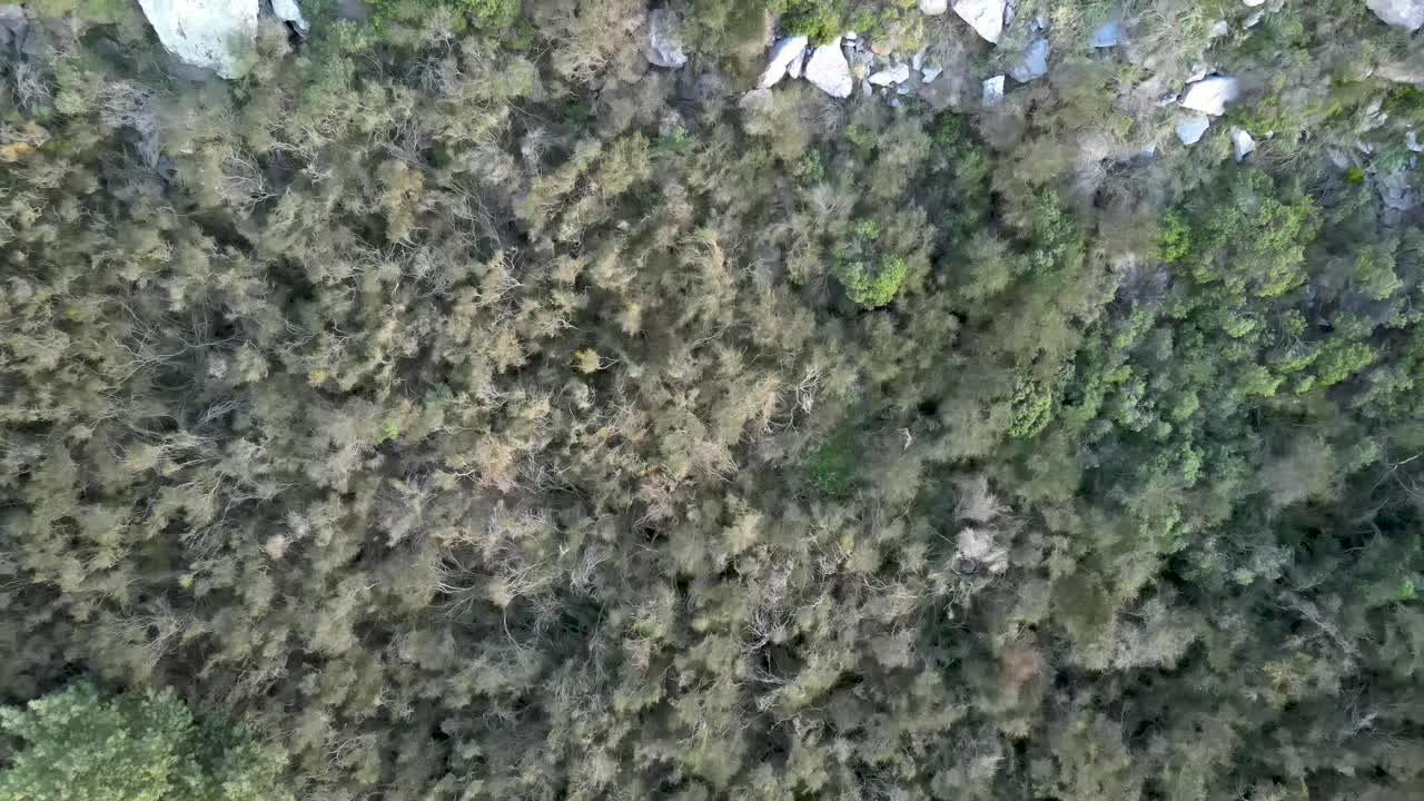 toma aérea cenital de la sierra de los padres en argentina, subiendo