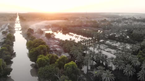 Toma-Aérea-Del-Canal-De-Agua-Al-Lado-De-La-Carretera-Con-Bosque-De-Palmeras