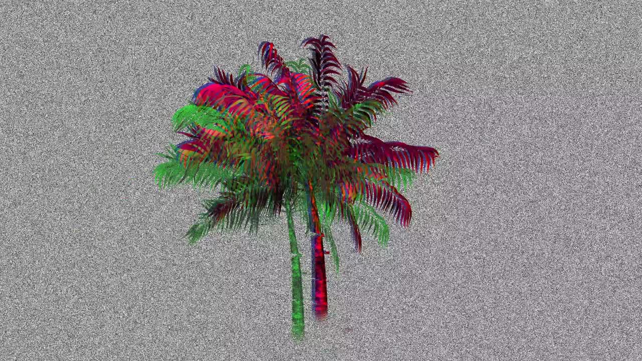 palmera y estática