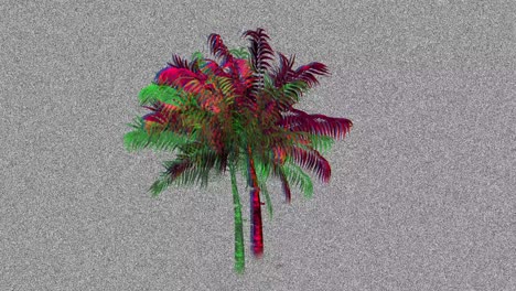 palmera y estática