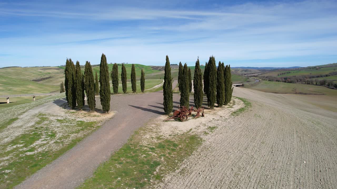 토스카니의 산 리코 드 오르시아 근처에 있는 사이프러스 나무 집단.