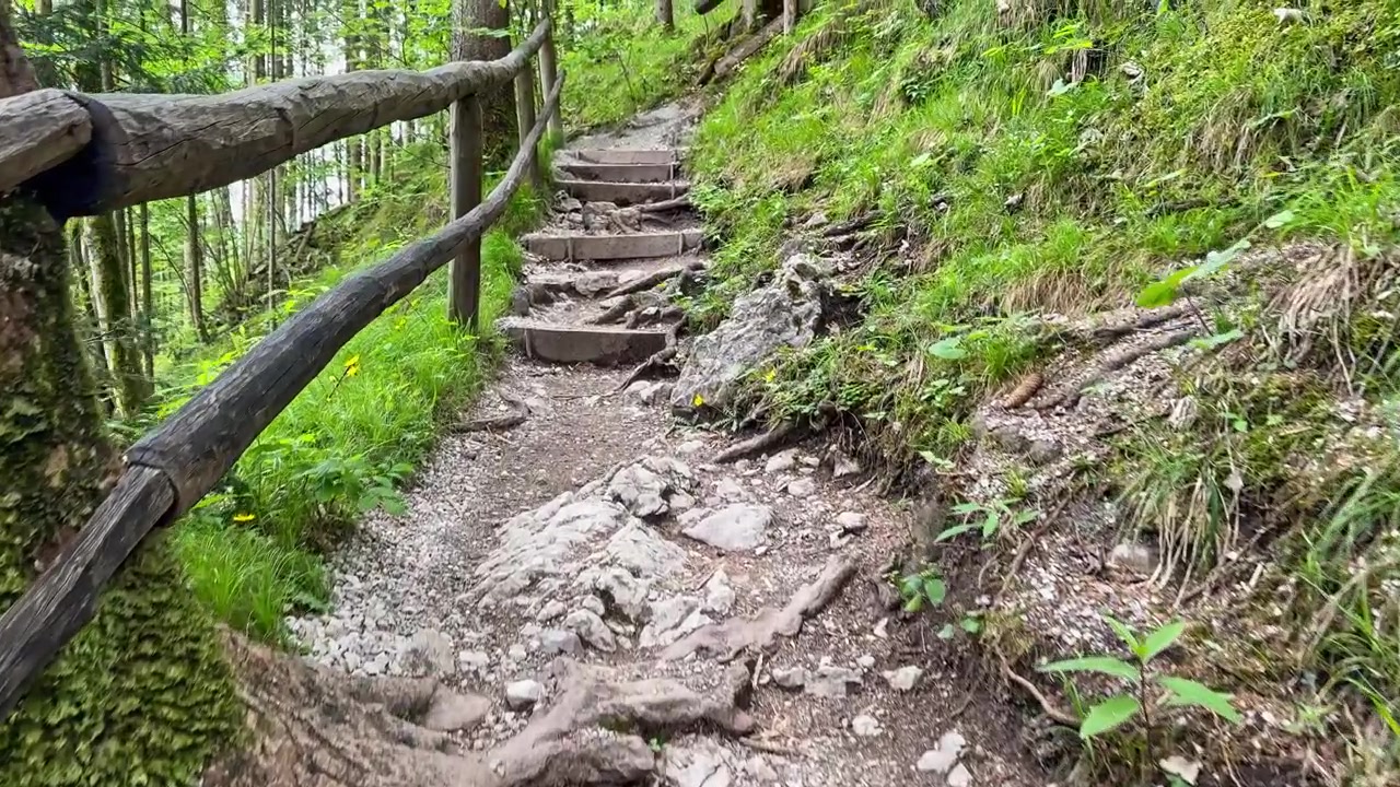 Gradini di un sentiero nel bosco si inerpicano attraverso una fitta vegetazione verde accanto a un corrimano rustico, con radici esposte, ghiaia e texture naturali del percorso.