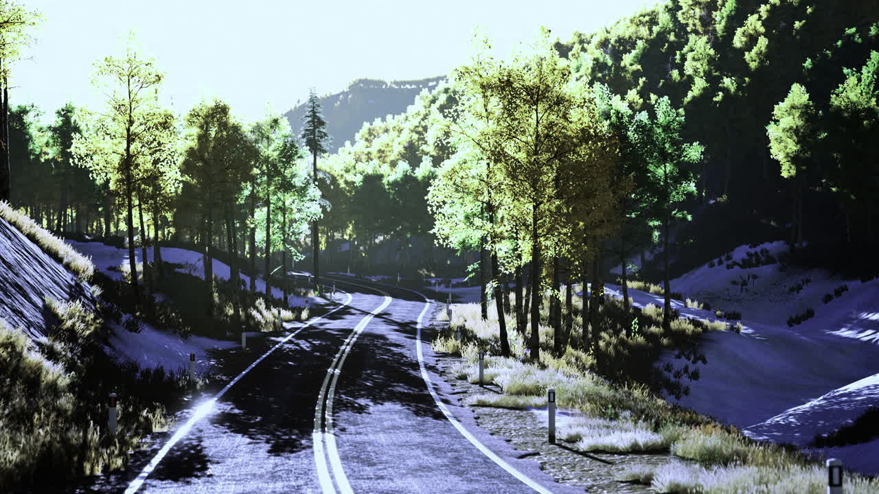 Scenic winding road through lush forest landscape on a sunny day