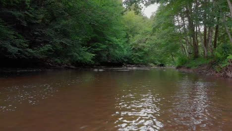 Aerial-footage-of-a-stream-in-the-Belgian-Ardennes,-Houffalize,-La-Roche-en-Ardenne,-4K,-25fps