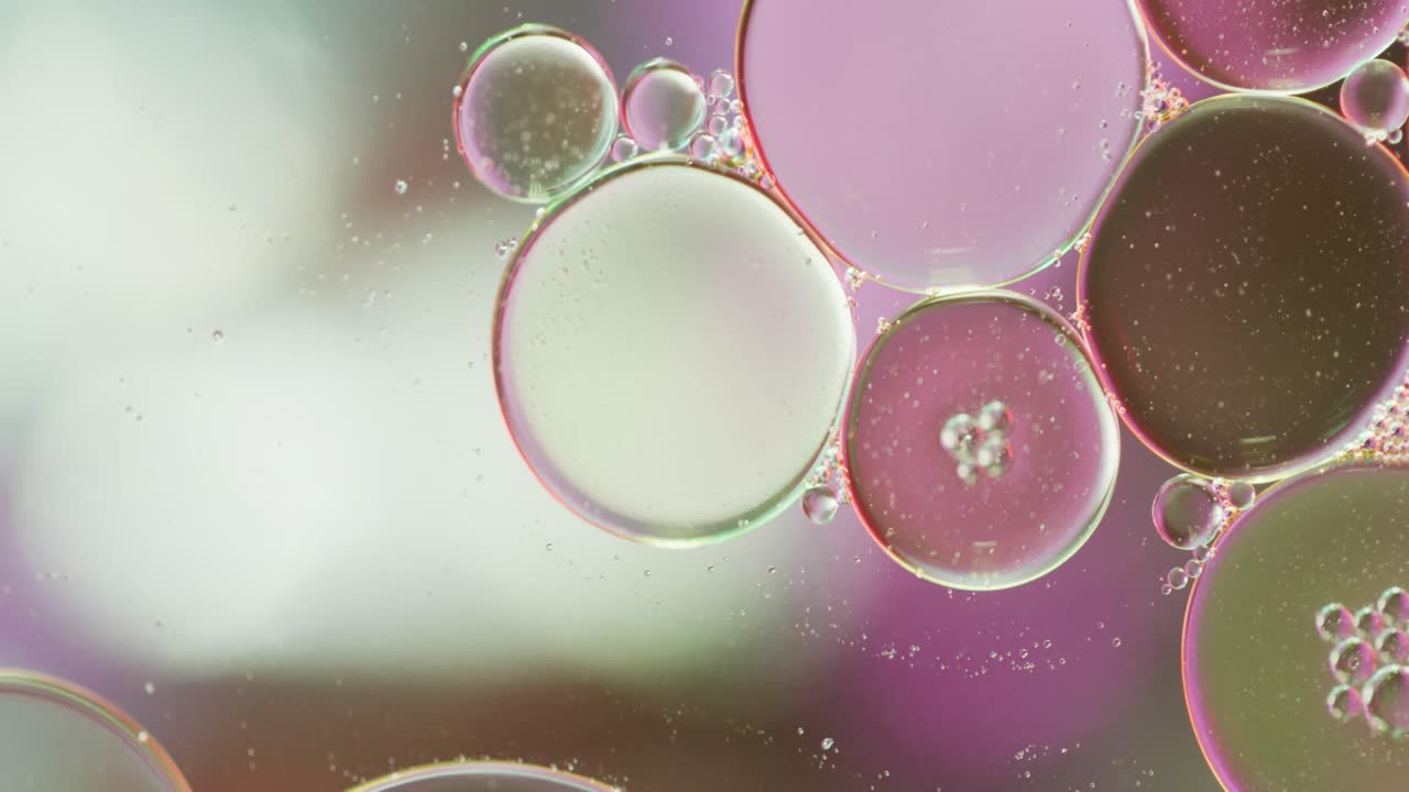 Animazione di bolle che si muovono su sfondo bianco e rosa con spazio per il testo