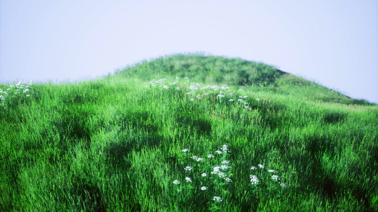 Vibrant green hills with wildflowers under a clear blue sky in daytime