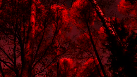 dark red forest from hell dramatic spooky view