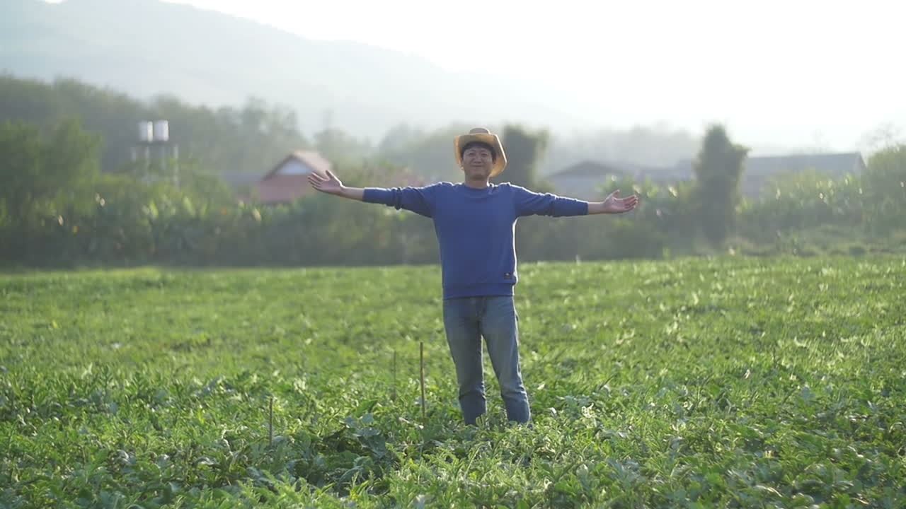 Farmer In Melon Field