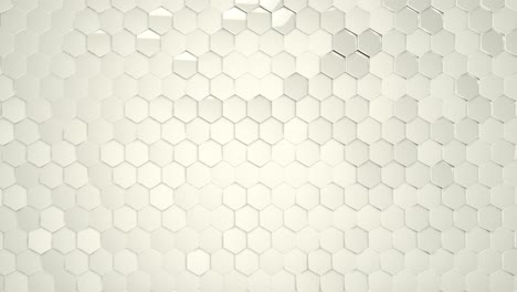 Superficie-De-Panal-Hexagonal-Blanca
