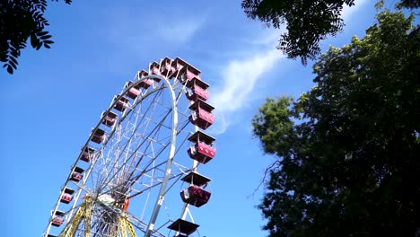 綠色樹木和藍色天空在背景下旋轉的摩天輪