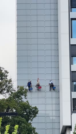 building exterior cleaning