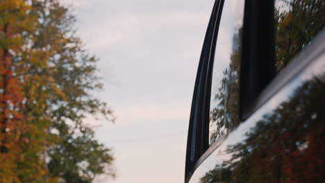 autumn forest reflected off moving car