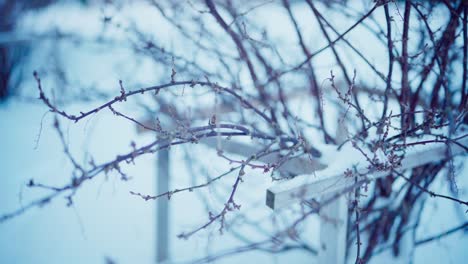 Der-Mann-Hackt-Anzündeholz-Von-Einem-Kahlen-Baum,-Um-Die-Flamme-Des-Selbstgebauten-Whirlpools-Zu-Entzünden---Nahaufnahme