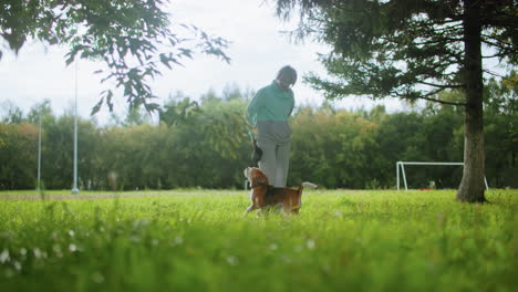 coach gently pecks playful bulldog as it excitedly runs around her on bright sunny grassy field surrounded by trees, creating joyful bonding moment during outdoor dog training session near goal post