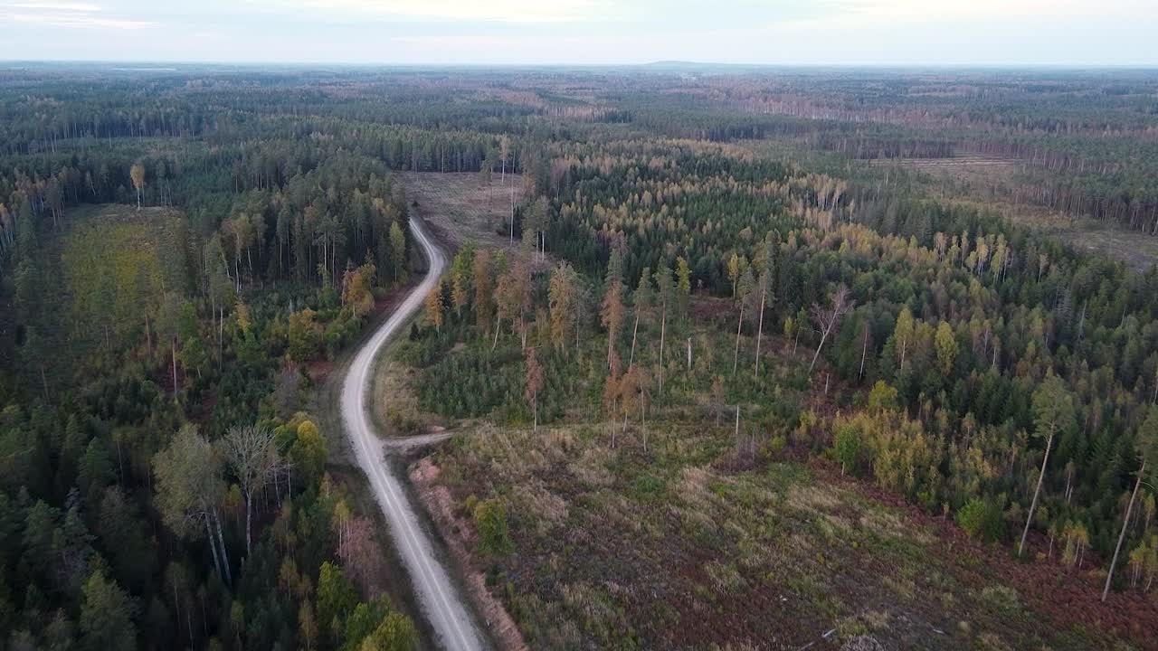 Luftfoto af en teknisk skovvej til skovbrug og rekreative formål.