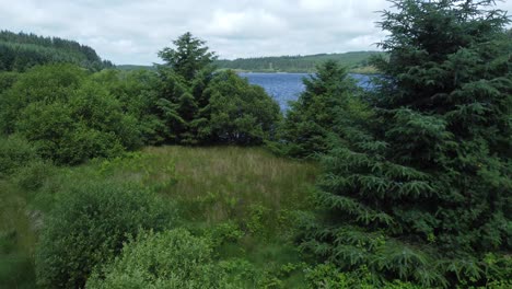 Idyllischer-Blauer-Wasserreservoir-See-Waldwanderweg-Luftbild-Nah-Zwischen-Bäumen-Offenbaren